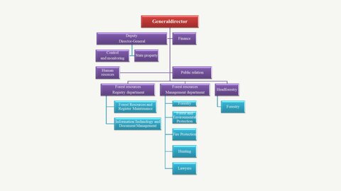 Презентация 'State Forest Service Republic of Latvia', 5.