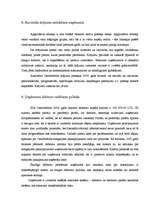 Отчёт по практике 'SIA "Creditreform Latvija"', 19.
