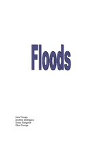 Конспект 'Flood', 1.
