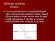 Презентация 'Optikas likumi', 6.