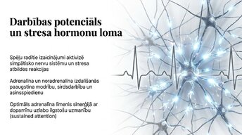 Презентация 'Videospēļu ietekme uz smadzeņu attīstību un uzmanību', 5.