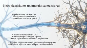 Презентация 'Videospēļu ietekme uz smadzeņu attīstību un uzmanību', 7.
