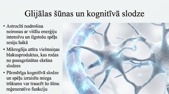 Презентация 'Videospēļu ietekme uz smadzeņu attīstību un uzmanību', 9.