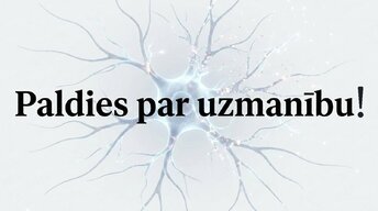 Презентация 'Videospēļu ietekme uz smadzeņu attīstību un uzmanību', 15.