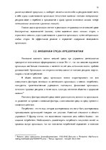 Дипломная 'Анализ вешней и внутренней среды компании "Skaisto skatu aģentūra"', 10.