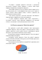 Дипломная 'Анализ вешней и внутренней среды компании "Skaisto skatu aģentūra"', 28.