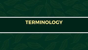 Презентация 'Presentation on Agriculture and Botany Terms: English to Latvian', 8.