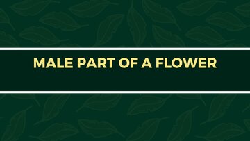 Презентация 'Presentation on Agriculture and Botany Terms: English to Latvian', 10.