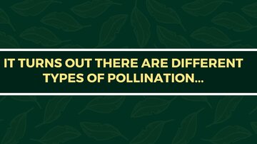 Презентация 'Presentation on Agriculture and Botany Terms: English to Latvian', 18.