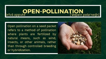 Презентация 'Presentation on Agriculture and Botany Terms: English to Latvian', 23.