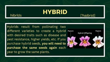 Презентация 'Presentation on Agriculture and Botany Terms: English to Latvian', 25.