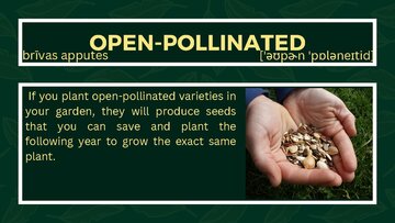 Презентация 'Presentation on Agriculture and Botany Terms: English to Latvian', 26.