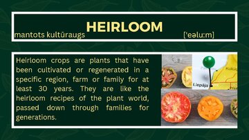 Презентация 'Presentation on Agriculture and Botany Terms: English to Latvian', 27.