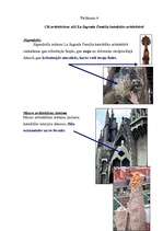 Реферат 'Gotikas stila iezīmes La Sagrada Familia katedrālē', 6.