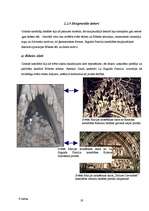 Реферат 'Gotikas stila iezīmes La Sagrada Familia katedrālē', 29.