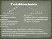 Презентация 'Tauki un taukskābes', 4.