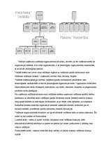 Реферат 'Organizācijas struktūra un hierarhija', 3.