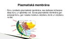 Презентация 'Vielu transports caur plazmatisko membrānu', 2.