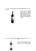 Конспект 'Dievišķā Sangiovese – vīna vīnogu šķirne, un vīni no tās', 3.