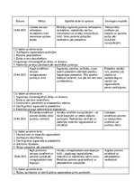 Отчёт по практике 'Māsas palīga prakses dienasgrāmata', 11.