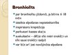 Презентация 'Bronhīti, bronhiolīti un pneimonijas bērniem', 12.