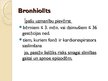 Презентация 'Bronhīti, bronhiolīti un pneimonijas bērniem', 13.