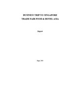 Реферат 'Business Trip to Singapore', 1.