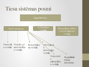 Реферат 'Tiesu sistēma Latvijā un notariāts', 53.