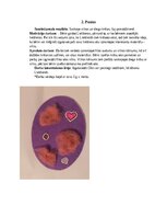 Конспект 'Šūšanas mape pirmsskolā', 5.