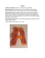 Конспект 'Šūšanas mape pirmsskolā', 7.