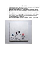 Конспект 'Šūšanas mape pirmsskolā', 9.