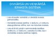 Презентация 'Lietuvas grāmatvedības sistēma salīdzinājumā ar Latvijas grāmatvedības sistēmu', 10.