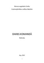 Реферат 'Darbs komandā', 1.