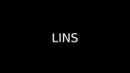 Презентация 'Lins', 1.