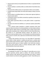 Отчёт по практике 'Grāmatvedības prakses atskaite', 17.