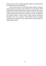 Отчёт по практике 'Grāmatvedības prakses atskaite', 32.