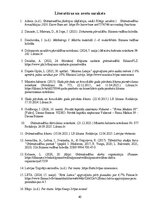 Отчёт по практике 'Grāmatvedības prakses atskaite', 40.