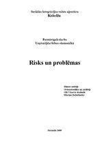 Реферат 'Risks un problēmas', 1.