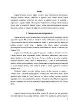 Реферат 'Latgaliskais komponents mākslā', 2.