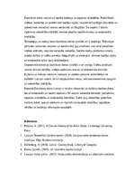 Эссе 'Dzimšanas diena Latvijai', 2.