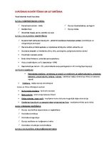 Конспект 'Elpošanas novērtēšana un uzturēšana', 1.