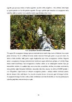 Реферат 'Etalonteritorijas biotopu un augšņu daudzveidība', 34.