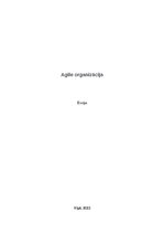 Эссе 'Agile organizācija', 1.