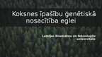 Презентация 'Koksnes īpašību ģenētiskā nosacītība eglei', 1.