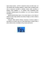 Конспект '"Infoviza" tūrisma aģentūras apraksts', 3.
