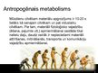 Презентация 'Industriālā ekoloģija. Ekoloģiskais metabolisms', 3.