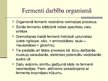 Презентация 'Fermenti', 4.