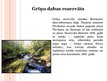 Презентация 'Dabas rezervāti un Latvijas dabas rezervāti', 5.