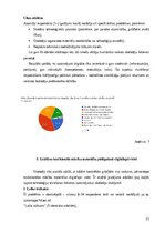 Реферат 'Studiju darbs II Digitalizācijas izaicinājumi tradicionālo izglītības materiālu ', 21.