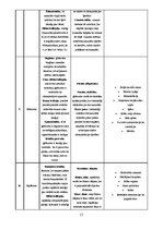 Реферат 'Materiāla blīvums un makrostruktūra', 15.